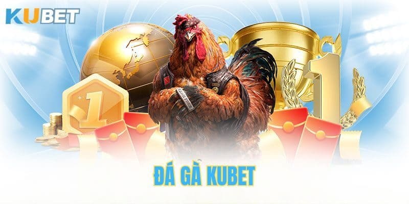 Tham gia đá gà tại Kubet88 ngay hôm nay